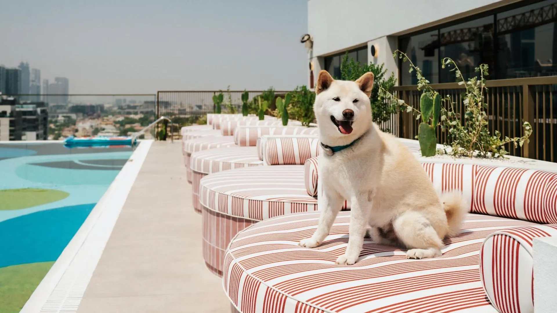 The Muse 45 Aparthotel Ντουμπάι